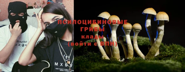 мяу мяу мука Алзамай