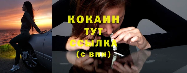 мяу мяу мука Алзамай