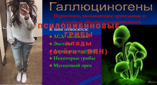 мяу мяу мука Алзамай