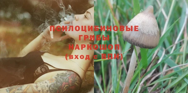 шишки Алексеевка